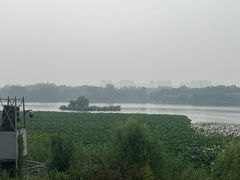 -大兴滨河森林公园