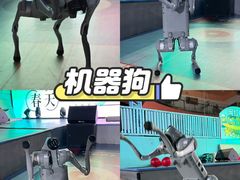 -空气湃·运动嘉年华·团建拓展生日趴·真人CS