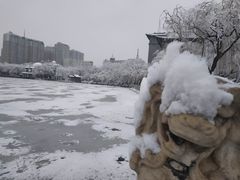 -文瀛公园