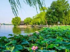 -济南大明湖景区