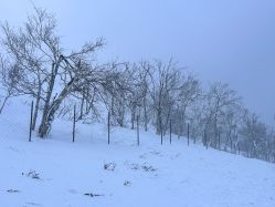 -大秃顶子山(雪谷店)