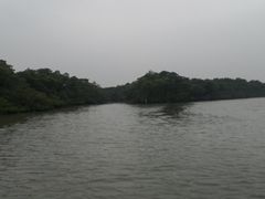 -东寨港红树林旅游区