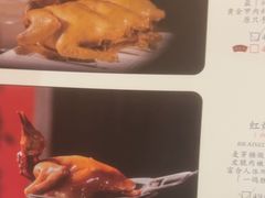 -大鸽饭(马王堆店)