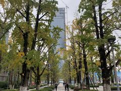 -百林公园-两江幸福广场