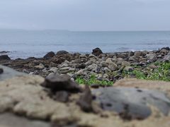 -厦门湾·白塘湾火山公园