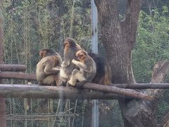 -杭州野生动物世界