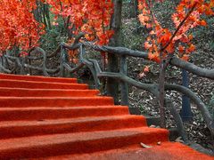 -石燕湖生态旅游景区