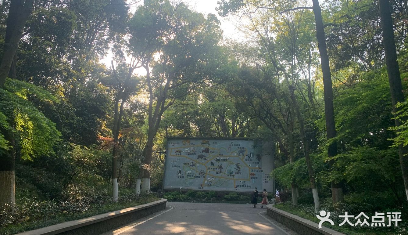 真的很久没有去动物园了呢