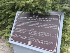 -雁门关景区