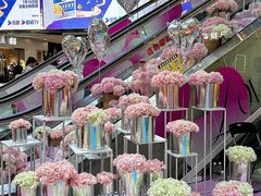 -鹏欣水游城