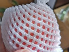 -百果园PAGODA(西四地铁站店)