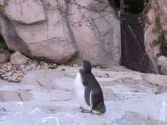 -上海野生动物园