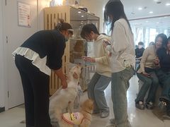 -共舞时光猫咖·狗咖(新街口店)