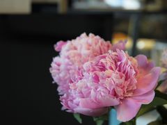 -咖星人E·T coffee·云赛空间