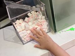 -狐狸和向日葵(北京路店)