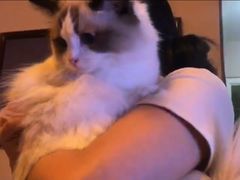-Bastet sally猫舍购宠(静安店)