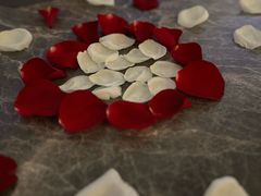 -Hi City·城市之巅