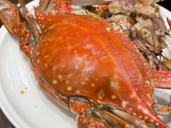 -北塘海鲜·天津菜(大光明桥旗舰店)