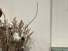 -杏甜品(尖沙咀加拿分道店)