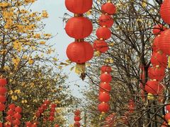 -洲头咀公园