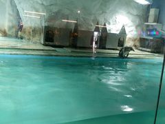 -北戴河圣蓝海洋公园