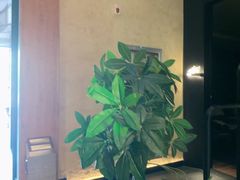 -新紫霞养生·影院足道·SPA(金山区店)