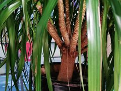 -惠友大虾(太原北街店)