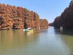 -上海海湾国家森林公园