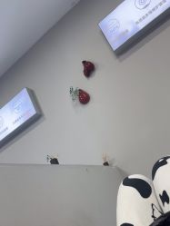 -蕾特恩专业祛痘国际连锁