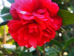 -华南国家植物园-售票处