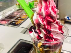 -Salud撒露欧洲冻酸奶(北苑上品店)