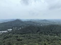 -古隆中景区