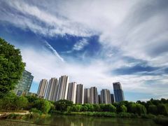 -南翔镇银翔湖公园