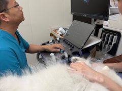 -美联众合动物医院·24h京西诊疗中心