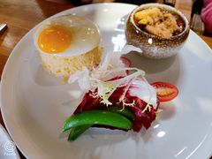 -more than meow吴止猫主题餐厅(承德 中船汇店)