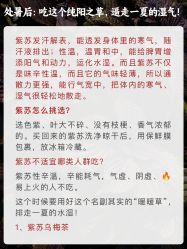 -雅曼妮spa美容养生