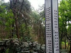 -云龙山