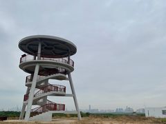 -福田红树林生态公园