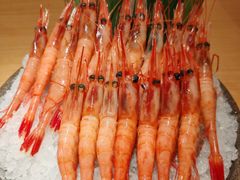 -德川家日本料理(中关村店)