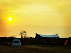 -春花秋色城市公园