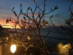 -Rock Bar Bali(Bali)