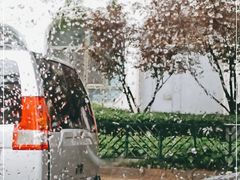 -北京赛佳动物医院