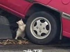 -嘉兴戴梦得购物中心