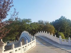 -月湖风景区
