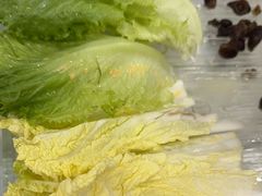 -听牧牛庄(南屏店)