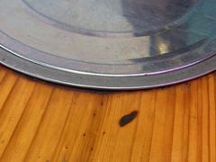 包厢-营记牛肉火锅·大埔客家菜(上梅林店)