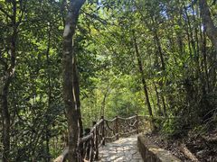 -海南热带雨林国家公园吊罗山景区