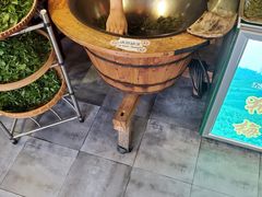-豫园湖心亭茶楼