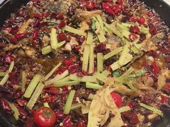 -老板恋上鱼(高新万达店)