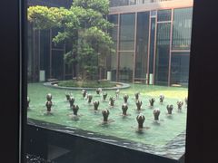 -上海崇明金茂凯悦酒店